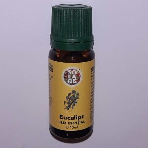 Ätherisches Öl - Eukalyptus 10ml