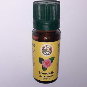 Ätherisches Öl - Rose 10ml
