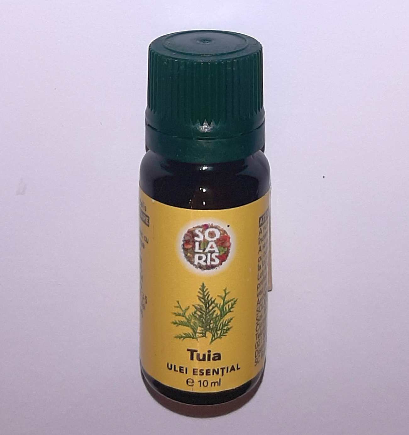 Ätherisches Öl - Thuja 10ml